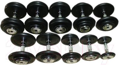 

Набор гантелей Matrix Fitness, Черный, FDS 2.5-50KG