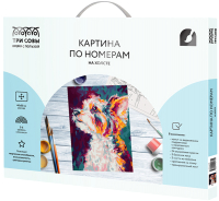 

Картина по номерам Три совы, Друг / КХ_44175