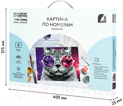 Картина по номерам Три совы Кошачий космос / КХ_44089