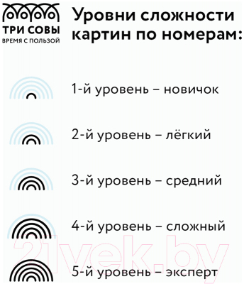 Картина по номерам Три совы Кошачий космос / КХ_44089