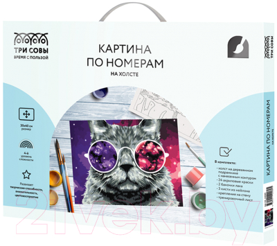 Картина по номерам Три совы Кошачий космос / КХ_44089