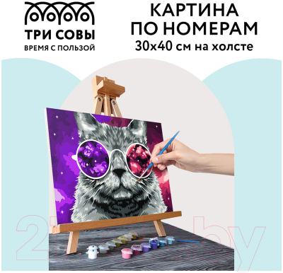 Картина по номерам Три совы Кошачий космос / КХ_44089