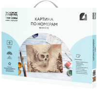

Картина по номерам, Полярная сова / КХ_44165