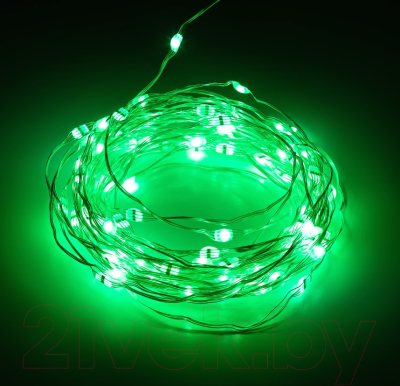Изображение товара Светодиодная гирлянда ЭРА ЕGNIG-PU / Б0055994