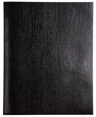 Изображение товара Тетрадь Hatber Metallic / 96Т5бвВ1 (96л, черный)