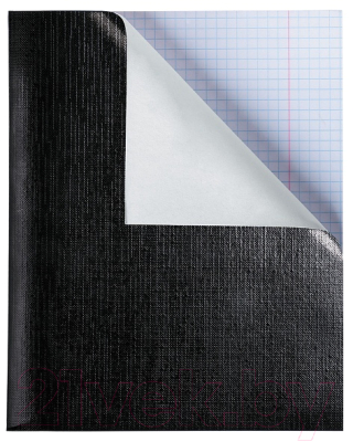 Изображение товара Тетрадь Hatber Metallic / 96Т5бвВ1 (96л, черный)