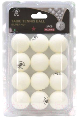 Набор мячей для настольного тенниса Giant Dragon Training Silver 1 New / 51.683.31.4 (12шт, белый)