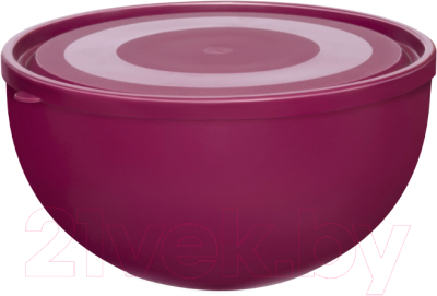 Изображение товара Салатник Эльфпласт ЕР281 (вишневый)