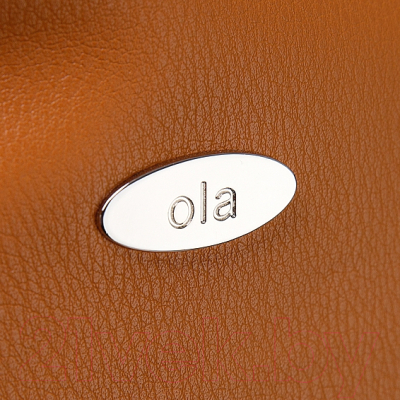 Сумка OLA 890-G20123-CGN (оранжевый)