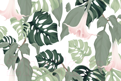 Фотообои листовые Vimala Тропическая монстера (270x400)