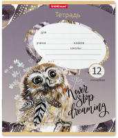 

Тетрадь Erich Krause, Dreamy Owl / 52939