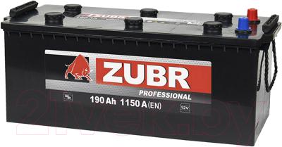 Автомобильный аккумулятор Zubr Professional L+ без борта (190 А/ч)