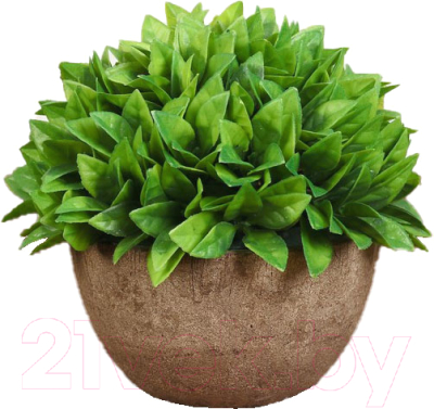 Искусственное растение Хорошие сувениры Густые листики 13х11см микс / 4555662