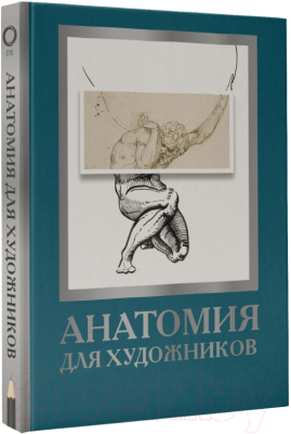 Книга АСТ Анатомия для художников (Крауч Д.)