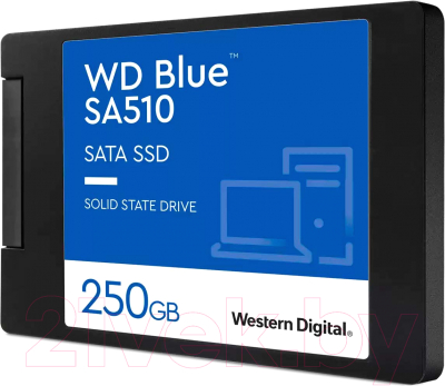 Изображение товара SSD диск Western Digital 250GB Blue (WDS250G3B0A)