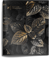 

Тетрадь Lorex, Golden Touch / LXCBCL-GLT