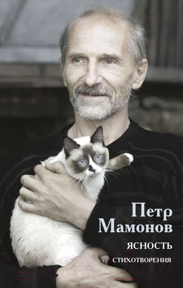 Художественная книга АСТ Ясность (Мамонов П.) — фото 1