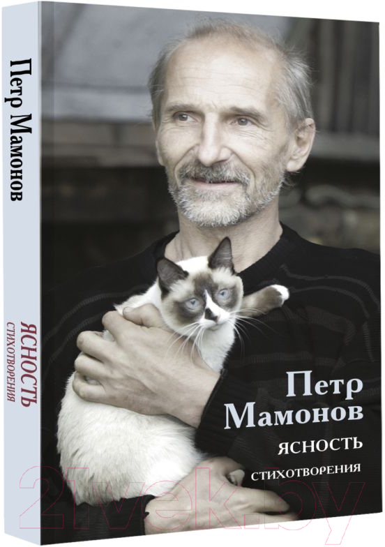 Художественная книга АСТ Ясность (Мамонов П.) — фото 2