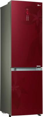 Холодильник с морозильником LG GA-B489TGRF - общий вид