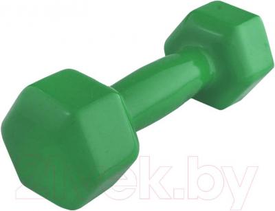 Гантель ZEZ Sport 3kg (зеленый)
