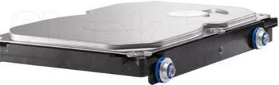 Жесткий диск HP 1TB (QK555AA) - общий вид