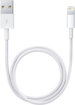 Кабель Apple Lightning to USB / ME291 (0.5м) - общий вид