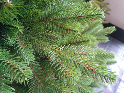 Изображение товара Ель искусственная GreenTerra Аляска слим (2.2м)