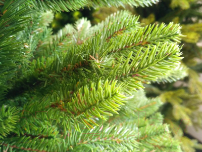 Изображение товара Ель искусственная GreenTerra Аляска слим (2.2м)