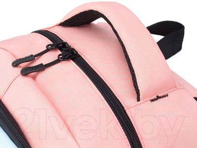 Школьный рюкзак Torber Class X / T9355-22-PNK-BLU (розовый/голубой)