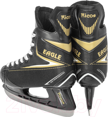 Коньки хоккейные Ricos Eagle PW-206AJ (р.46)
