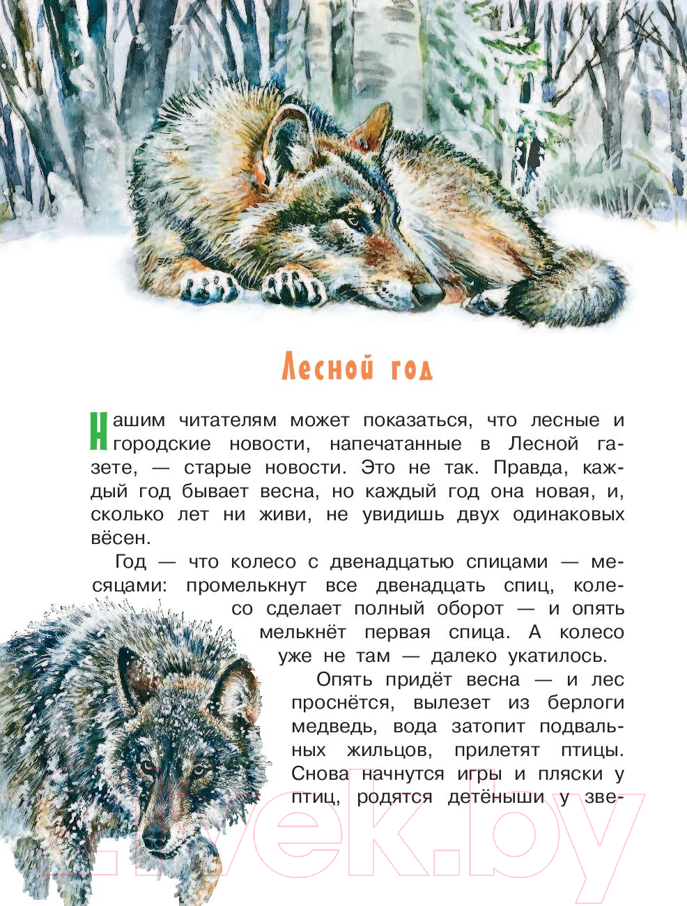 Художественная книга АСТ Лесная газета (Бианки В.) — фото 2
