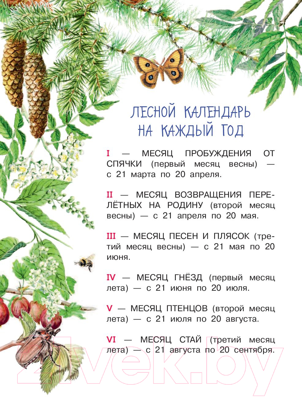 Художественная книга АСТ Лесная газета (Бианки В.) — фото 4