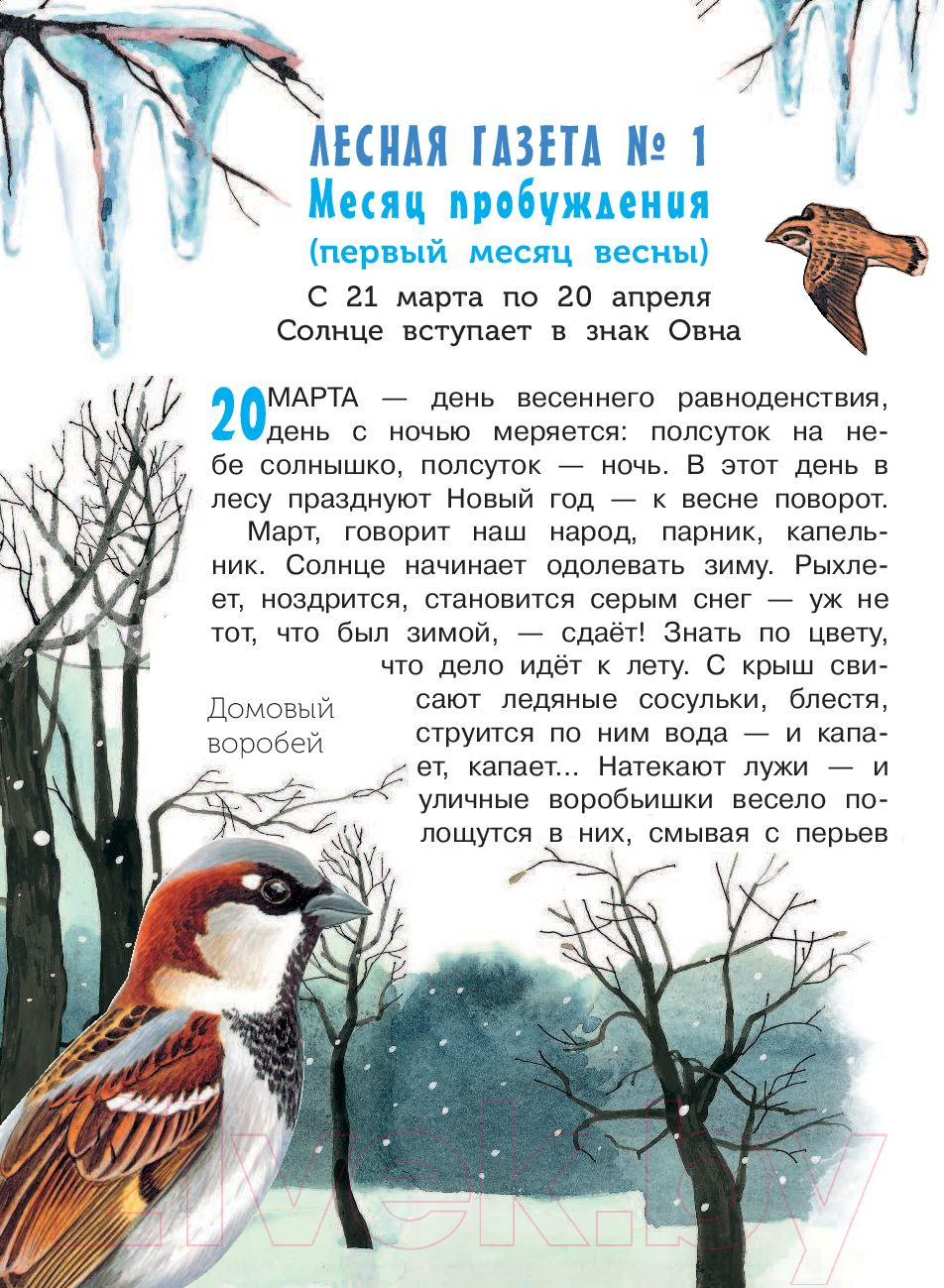 Художественная книга АСТ Лесная газета (Бианки В.) — фото 6
