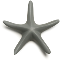 Магнит декоративный Qualy Sea Star / QL10391-GY - 
