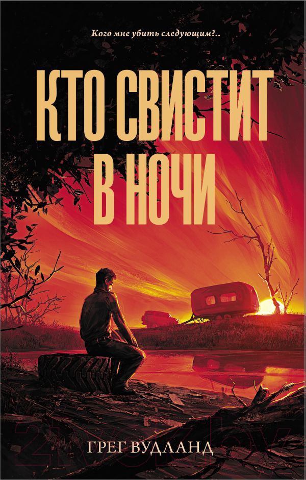 Художественная книга АСТ Кто свистит в ночи (Вудланд Г.)