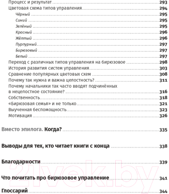 Книга Альпина Бирюзовое управление на практике (Разгуляев В.)