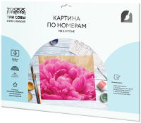 

Картина по номерам Три совы, Пион / КК_44067