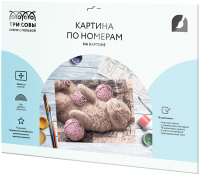 

Картина по номерам Три совы, Сладкий сон / КК_44083