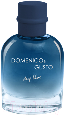 Туалетная вода Christine Lavoisier Domenico&Gusto Deep Blue (100мл)