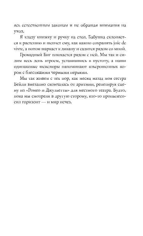 Художественная книга Like Book Небо повсюду, твердая обложка (Нельсон Дженди) — фото 6