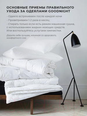 Одеяло GoodNight Comfort 200x220 / OLM300ev (лебяжий пух/микрофибра)