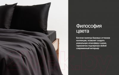 Комплект постельного белья GoodNight Essential Дуэт / 400383 (черный)