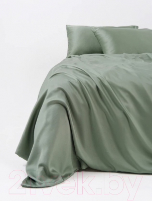 Комплект постельного белья GoodNight Essential 2 / 368200 (зеленый)