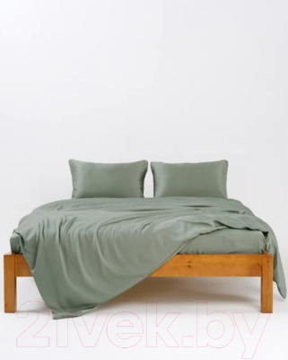 Комплект постельного белья GoodNight Essential 2 / 368200 (зеленый)