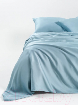 Комплект постельного белья GoodNight Essential Дуэт / 368205 (голубой)