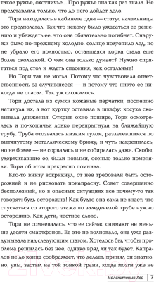 Книга АСТ Малахитовый Лес (Астафьева В.)