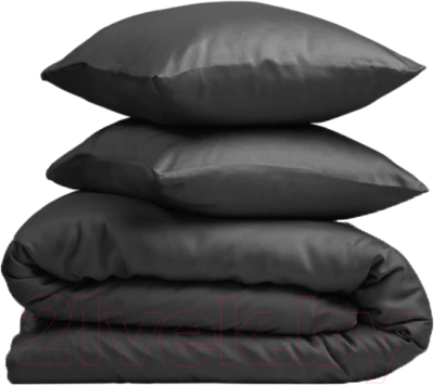 Комплект постельного белья GoodNight Essential Дуэт / 400383 (черный)