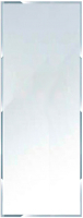 

Зеркало MGL, 095Ф 450x1200