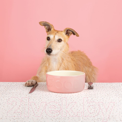 Миска для животных Scruffs Classic Food / 822888 (розовый)