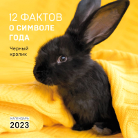 

Календарь настенный Эксмо, 12 фактов о символе года. Черный кролик 2023г / 9785041645960